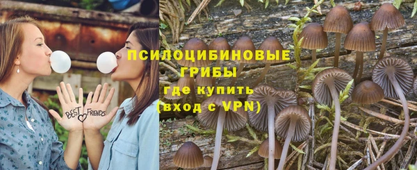 гидра Беломорск