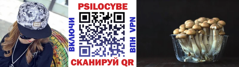 Галлюциногенные грибы Psilocybine cubensis это Telegram Воронеж